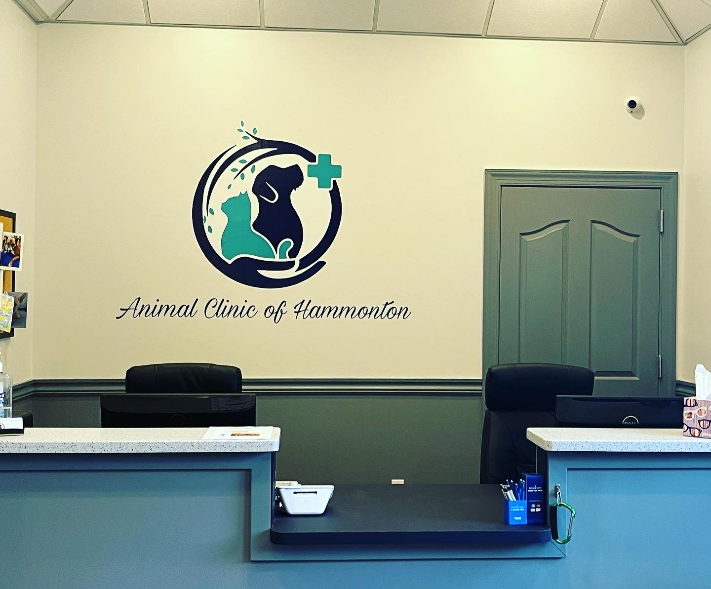 Check out Animal Clinic of Hammonton